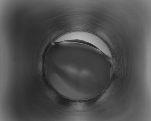 X0000088480444200706191409