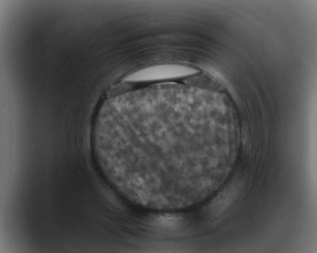 X0000088480445200706191409