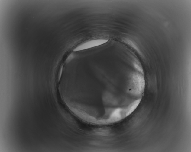 X0000088480447200706191409