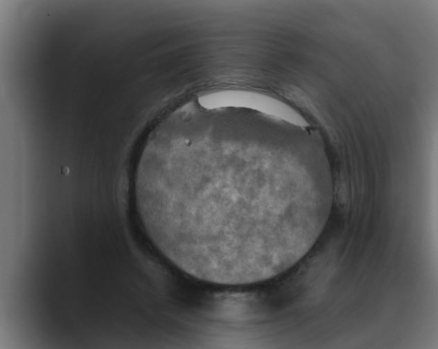 X0000088480448200706191409