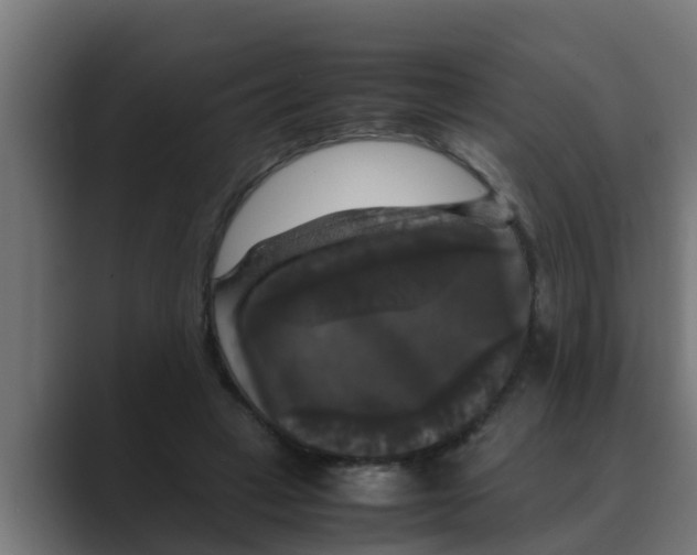 X0000088480449200706191409