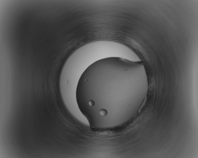 X0000088480452200706191409