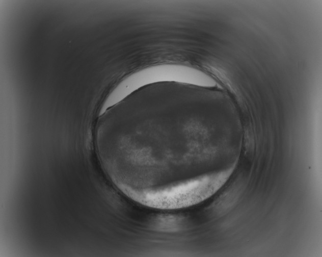 X0000088480453200706191409