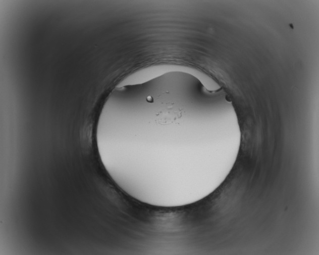 X0000088480454200706191409