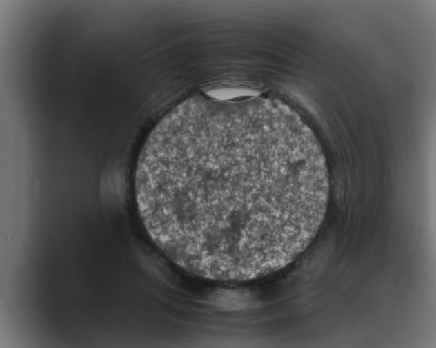 X0000088480455200706191409