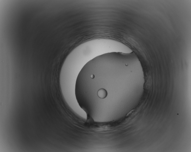 X0000088480456200706191409