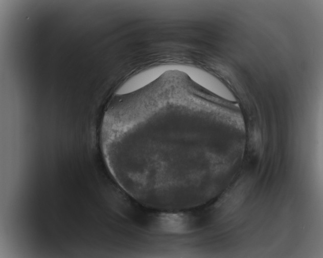 X0000088480457200706191409