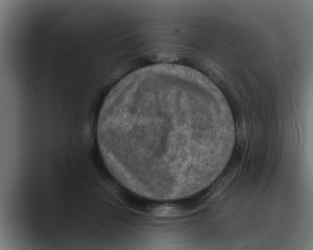 X0000088480460200706191409