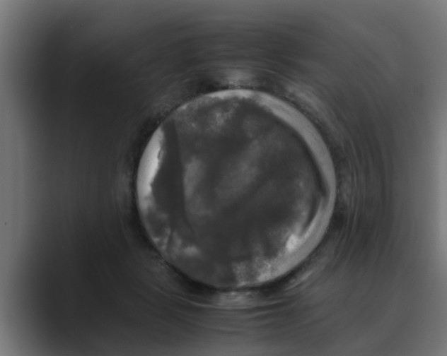 X0000088480461200706191409