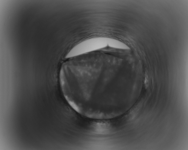 X0000088480466200706191410