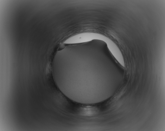 X0000088480467200706191410