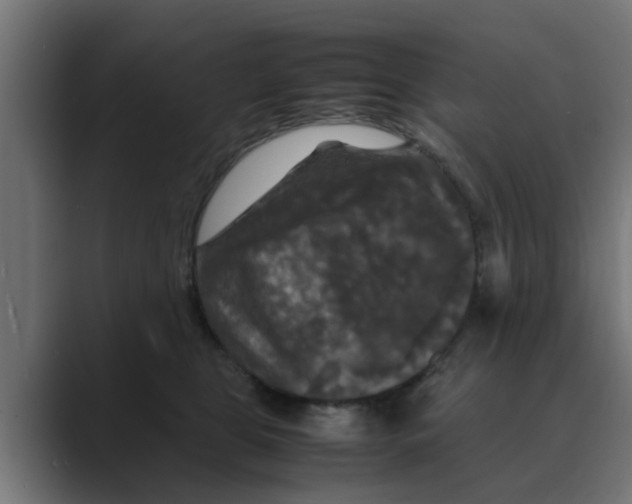 X0000088480469200706191410