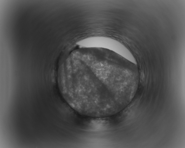 X0000088480470200706191410