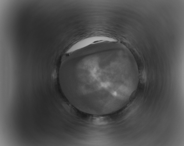 X0000088480472200706191410