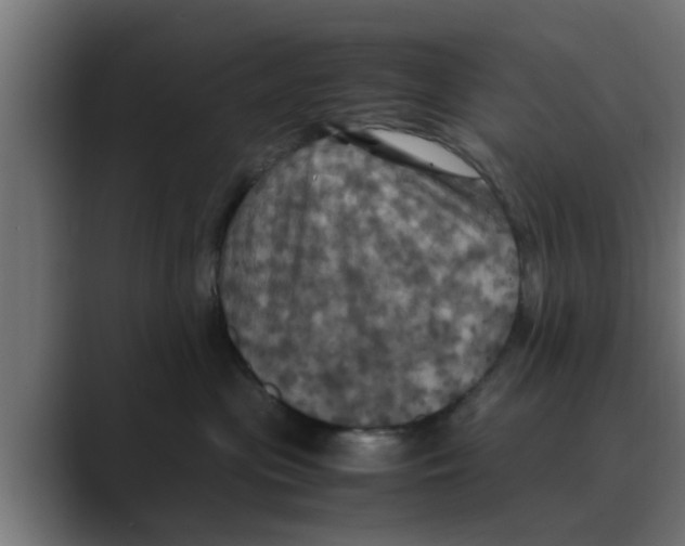 X0000088480477200706191410