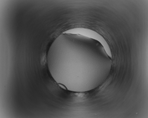 X0000088480478200706191410