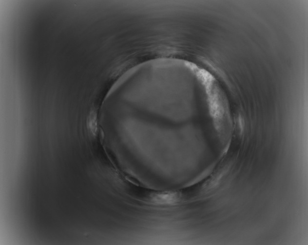 X0000088480479200706191410