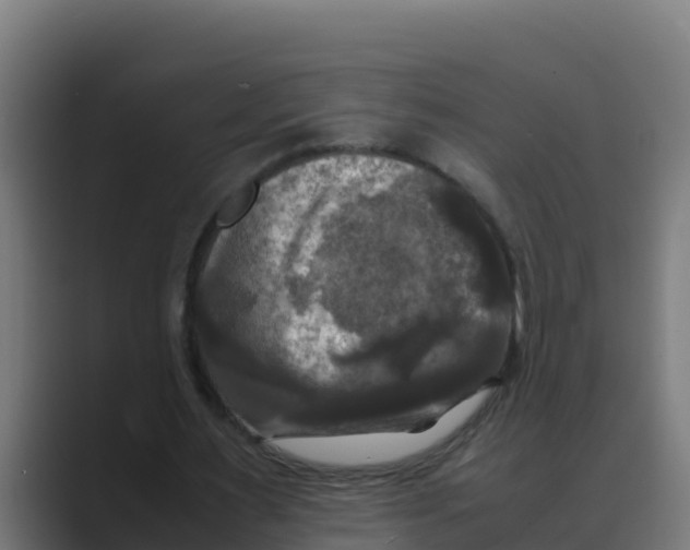 X0000088480483200706191409