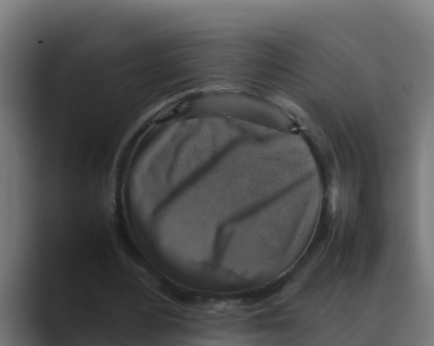 X0000088480484200706191409