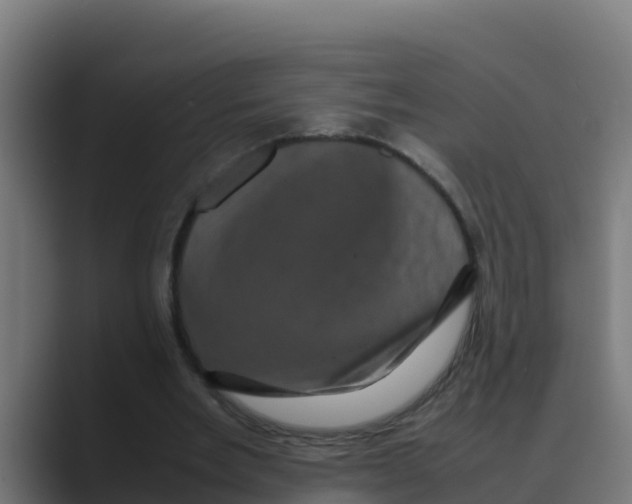 X0000088480485200706191409