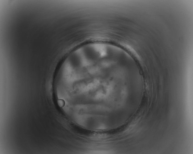 X0000088480487200706191409