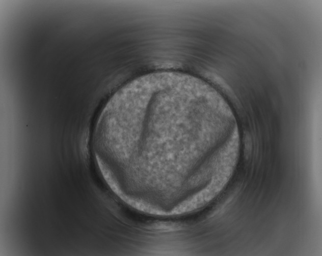 X0000088480490200706191409