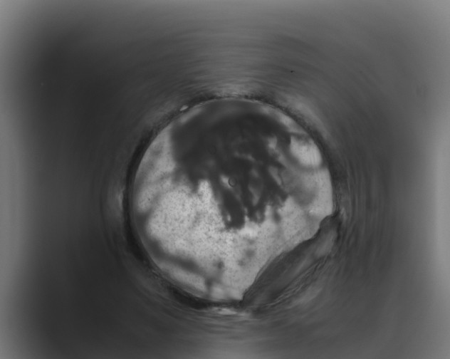 X0000088480491200706191409