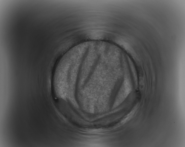 X0000088480493200706191409