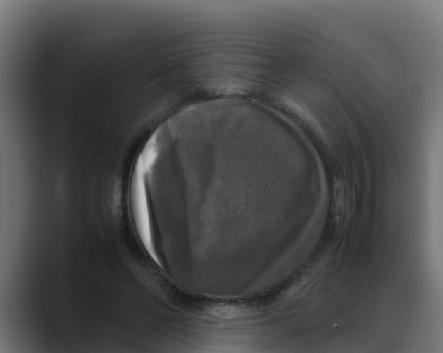 X0000088480494200706191409