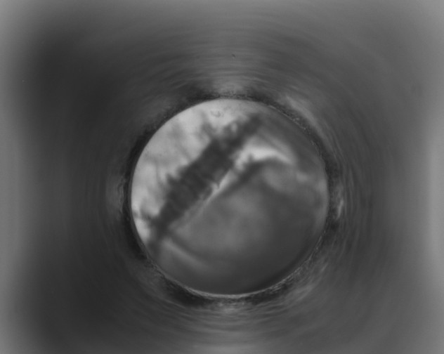 X0000088480495200706191409