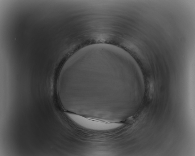 X0000088480496200706191409