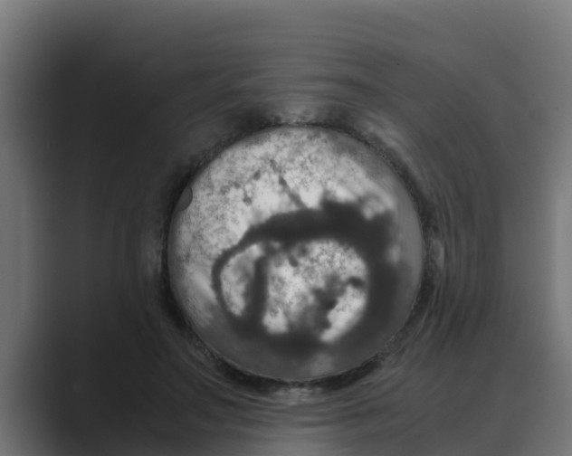 X0000088480499200706191409