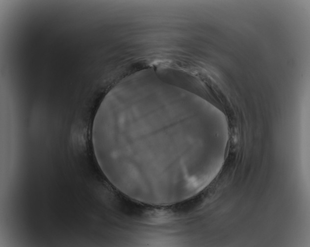 X0000088480503200706191409