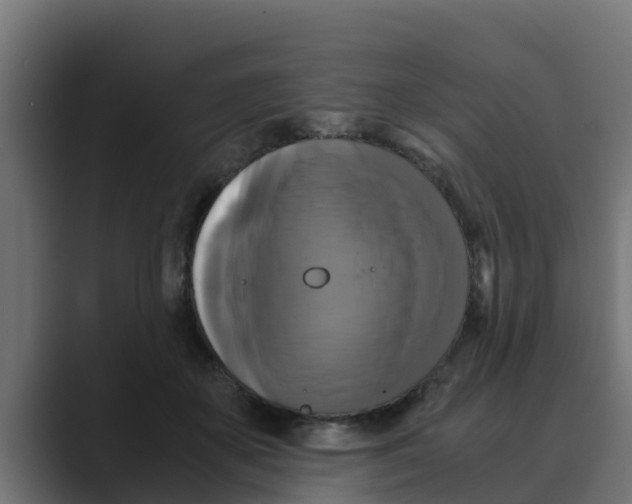 X0000088480507200706191409