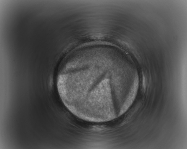 X0000088480508200706191409