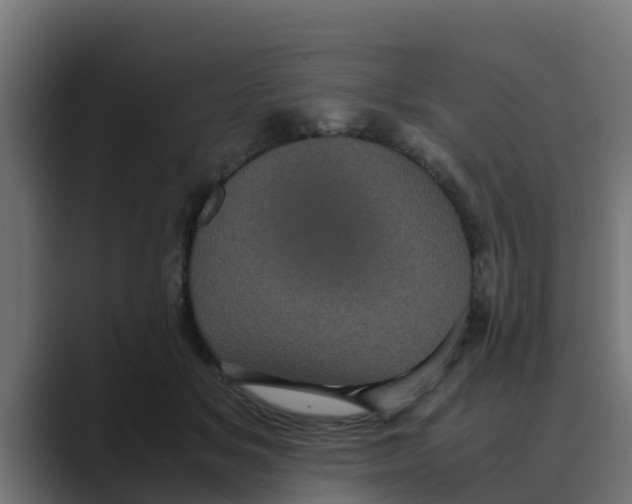 X0000088480509200706191409