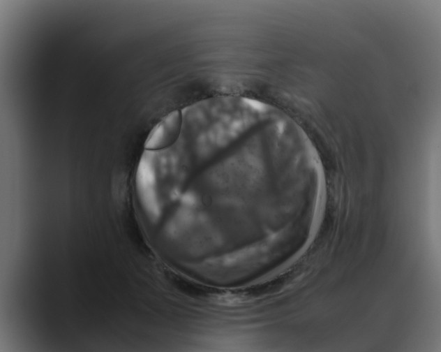 X0000088480511200706191409