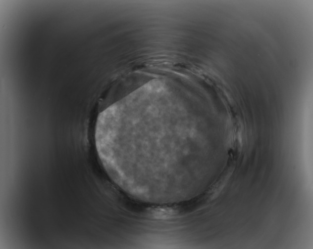 X0000088480512200706191409