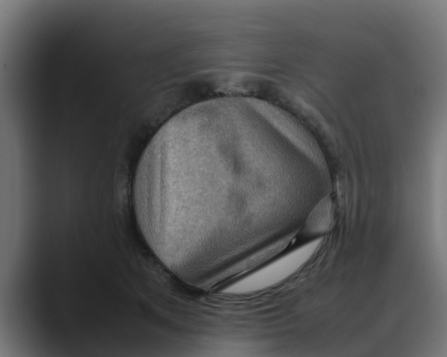 X0000088480513200706191409