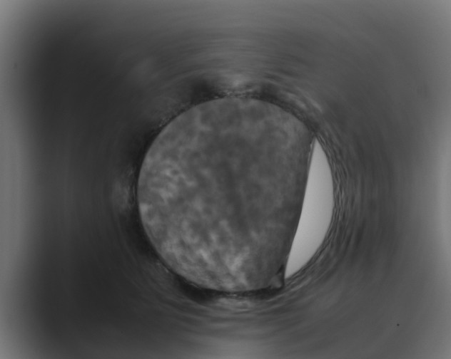 X0000088480515200706191409