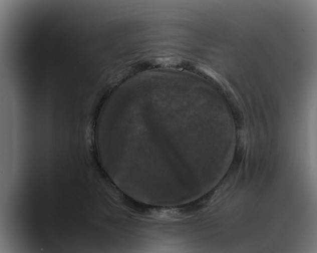 X0000088480517200706191409