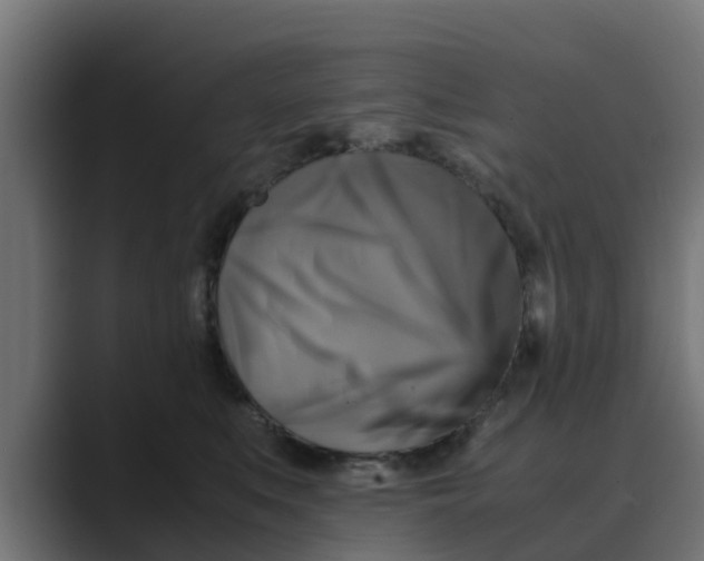 X0000088480519200706191409