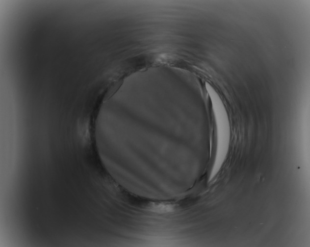 X0000088480520200706191409