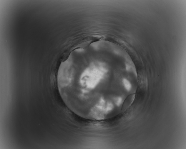 X0000088480523200706191409