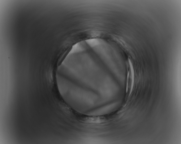 X0000088480524200706191409