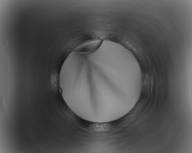 X0000088480526200706191409