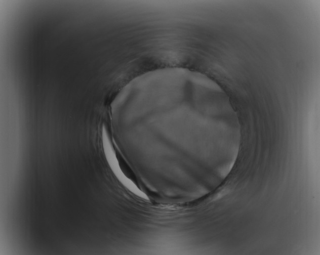 X0000088480528200706191409