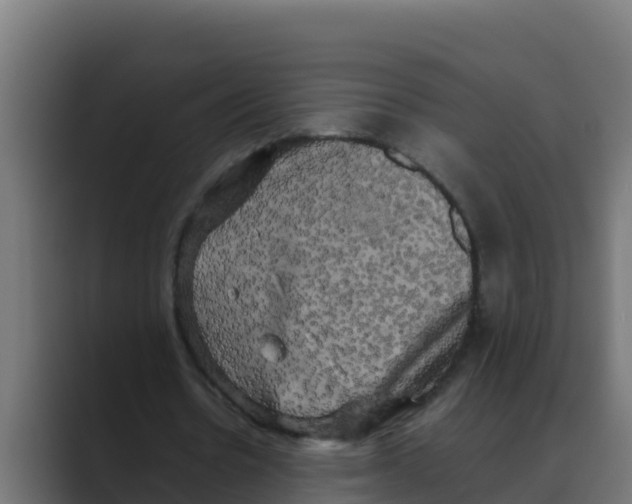 X0000088480530200706191408