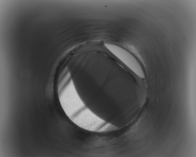 X0000088480531200706191408