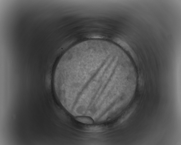 X0000088480533200706191408